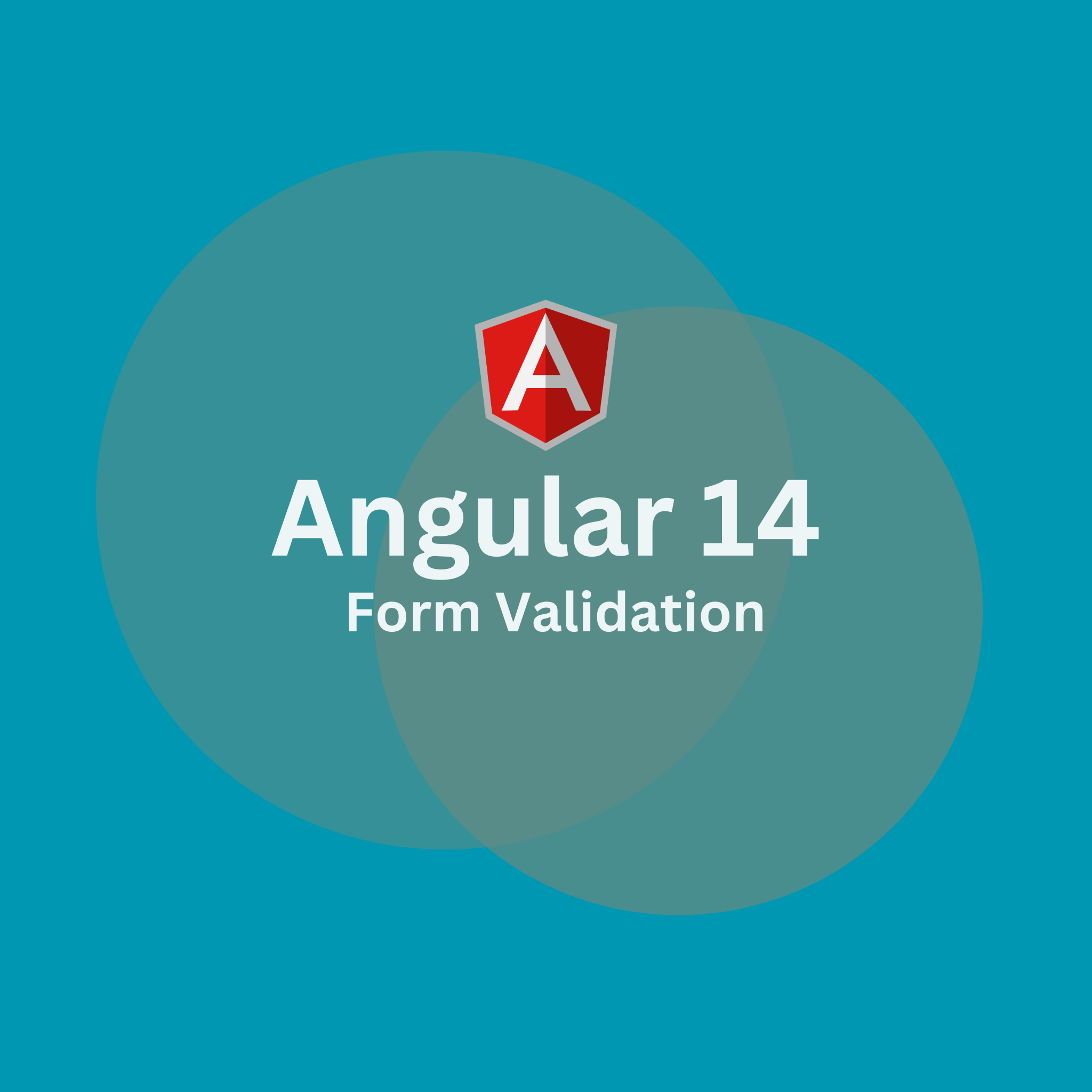Angular Form Validation Guide: Built-in and Custom Techniques